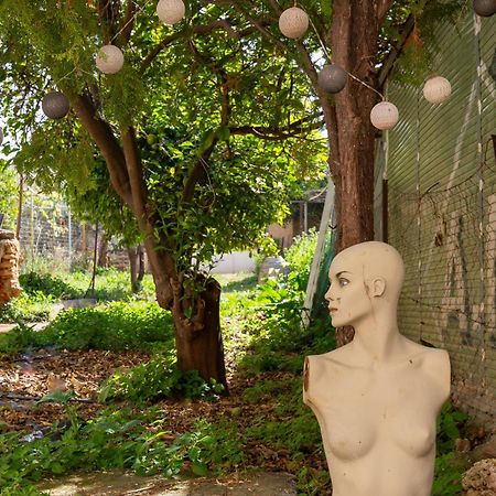 Backyard Art Studio ハニア エクステリア 写真